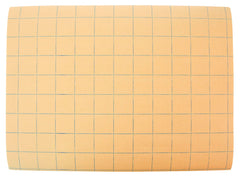 PAPER GRAPH 9X12 1 RULED MANILA SCHOOL SMART REAM