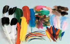 FEATHERS CLASSROOM PACK ASSORTED COLORS AND SIZES
