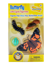 LIFE CYCLE STAGES BUTTERFLY