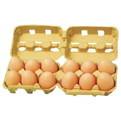 Egg Artificial Plastic Pack 12
