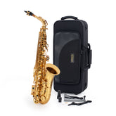 Elkhart 100AS student Eb alto saxophone outfit
