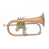 Elkhart 100FHR student Bb Flugel Horn outfit