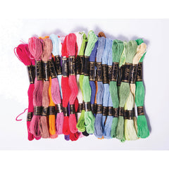 Emb Thread 6 Strand Cotton 100 Skein