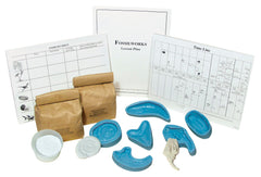 KIT FOSSILWORKS