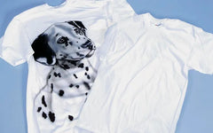 T SHIRT ADULT LARGE WHITE