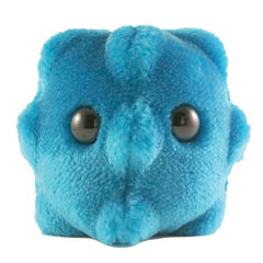 DISC-PLUSH COMMON COLD