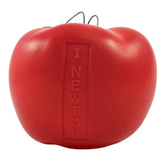 NEWTONS APPLES PACK OF 6