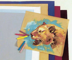 PAPER VELOUR ASSORTED 20X27 PACK OF 24