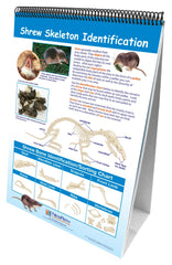 FLIP CHART MS OWLS + OWL PELLETS
