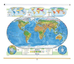 MAP NYSTROM WORLD LAND COVER MAP