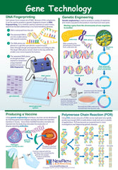 POSTER GENE TECHNOLOGY