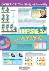 POSTER GENETICS THE STUDY OF HEREDITY