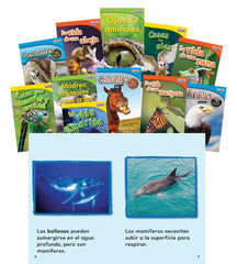 BOOKS ANIMALS AND INSECTS SPANISH SET OF 11