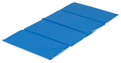 MAT 4 SECTION 24X48X1 BLUE/BLUE MAT 4 SECTION EACH