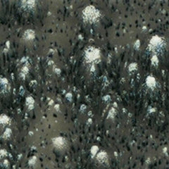 GLAZE MAYCO CRYSTALITES S2718 COSMIC BLACK PINT