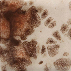 GLAZE MAYCO JUNGLE GEMS CG-795 YADRO PRINT PINT