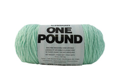YARN CARON 1 LB PALE GREEN