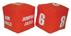 FITNESS DICE 4X4 VINYL COVER PAIR OF 2