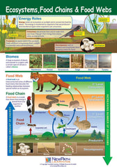 POSTER ECOSYSTEMS FOOD CHAINS FOOD WEBS