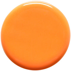 GLAZE AMACO TEACHERS PALETTE TP-65 PUMPKIN PINT