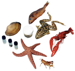 10 SPEC STUDENT PACK MED VAC EA