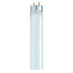 LIGHT TUBE 32 WT T8 4100K COOL WHITE SDNS8420 PACK OF 30