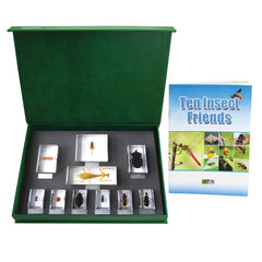 BLOCK 10 INSECT FRIENDS T211