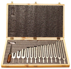TUNING FORK STEEL SET/13
