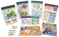 DISC-KIT SKILL BUILDER FROM MOLECULES TO ORGANISMS