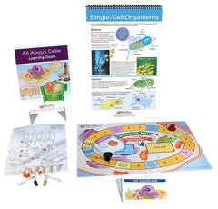 MODULE ALL ABOUT CELLS