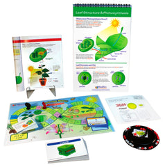 MODULE PHOTOSYNTHESIS + CELLULAR RESPIRATION