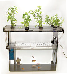 KIT AQUAPONICS