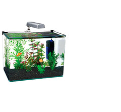 KIT AQUARIUM RAD CURVED CORNER GLASS 10 GAL