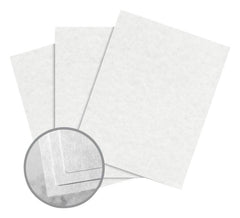 PAPER ASTROPARCHE WHITE 60 LB 8.5X11 IN CASE OF 8