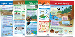 CHARTS BB ALL ABOUT ANIMALS SET/5 GR1-2