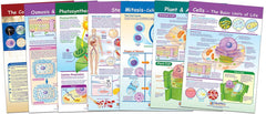 CHARTS BB MS CELLS SET/7
