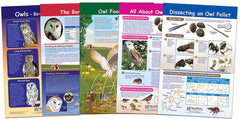 CHARTS BB MS OWL + OWL PELLETS SET/5