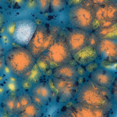 GLAZE MAYCO JUNGLE GEMS CG-983 KOI POND PINT