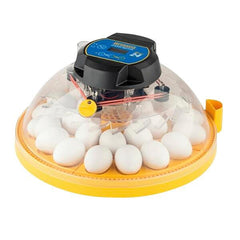 INCUBATOR - MAXI 24 ADVANCE - FULLY DIGITAL - 24 EGG