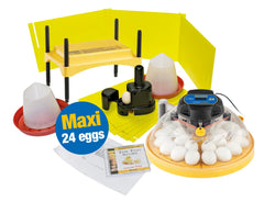 INCUBATOR - MAXI 24 ADVANCE - FULLY DIGITAL - 24 EGG - CLASSROOM PACK