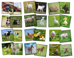 FLAGSHIP CARPETS - BARN ANIMALS STOW-N-GO - SET OF 24 - 16-INCH SQUARES - GREEN COLOR