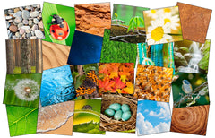 FLAGSHIP CARPETS - NATURES BEAUTY SEATING - SET OF 24 - 16-INCH SQUARES - NATURE COLOR