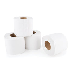 Toilet Roll 2Ply Case 36 Rolls