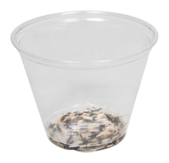 SEEDS MARIGOLD 1 PKG