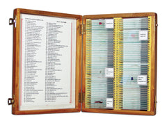 SLIDES PREPARED SET 100