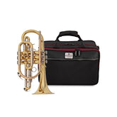 Besson Prodige BE120 student Bb cornet outfit