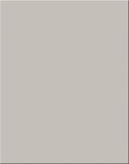 POSTER BOARD GRAY 22X28 PACK OF 25