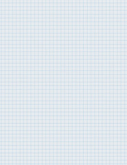 PAPER GRAPH 8.5X11 WHITE 0.25 GRAPH RULED REAM