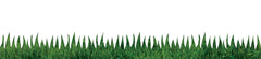 BORDER NATURAL GRASS 3X36 IN SET OF 12