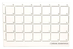 BACKBOARD VISUAL SCIENTIFIC